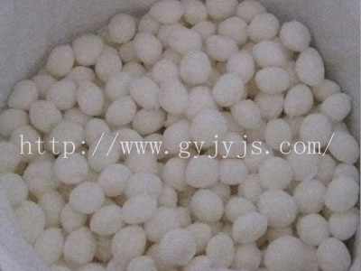 �����w�S��V��